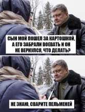 81