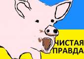 70