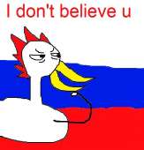 53