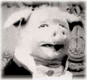 774