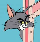 35