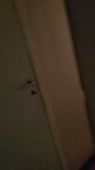 608x1080