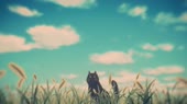 1920x1080