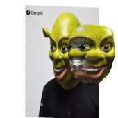 462x462