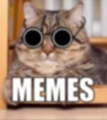 359x404