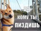400x302