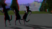 640x360