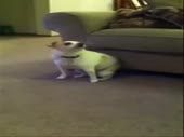 480x360