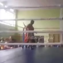 360x360