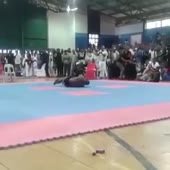 360x360