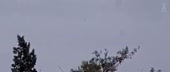 1280x544