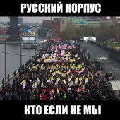 720x720