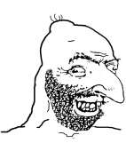 426x510