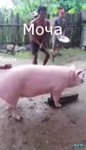 368x640