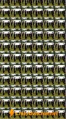 360x640