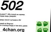 1071x689
