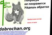 1247x850