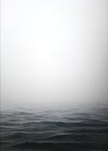 732x1024