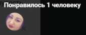 247x102