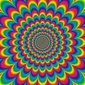 800x800