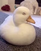 640x784