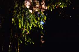 1207x800