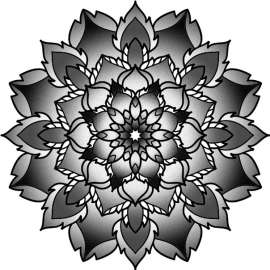 604x604