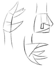 596x726