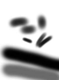 3000x4000