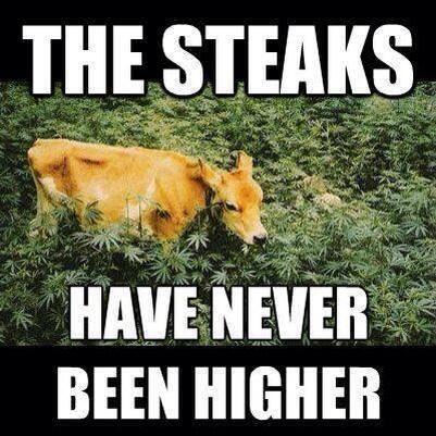 401x401