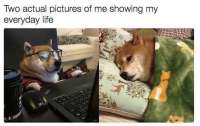 471x299