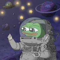 736x736