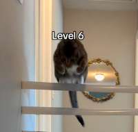 469x446
