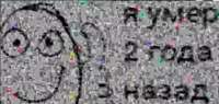 605x288