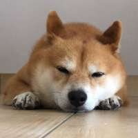 1080x1080