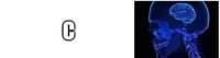 500x133