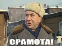 500x369