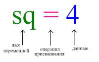 568x355