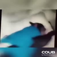 960x960