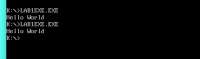 462x137