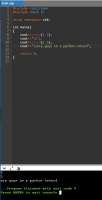 437x849
