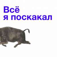 512x512