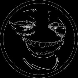 736x736