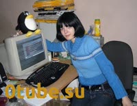 500x388