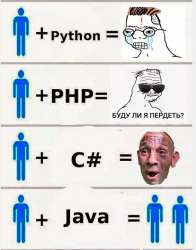 498x632