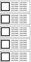 500x1000