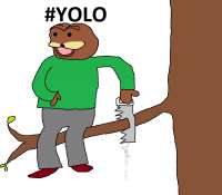 43