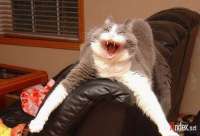 194