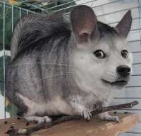 91