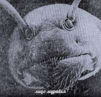 123